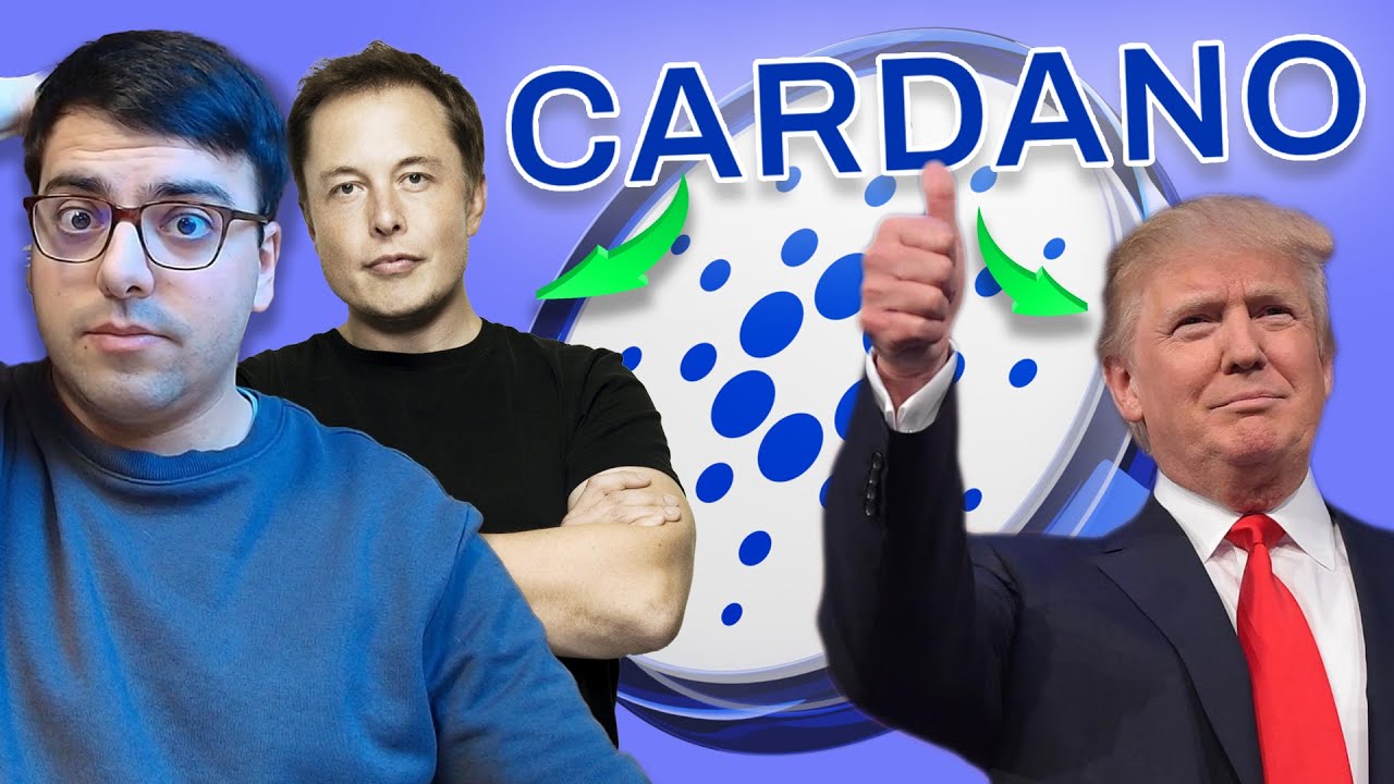 Si tienes Cardano, deberías saber esto