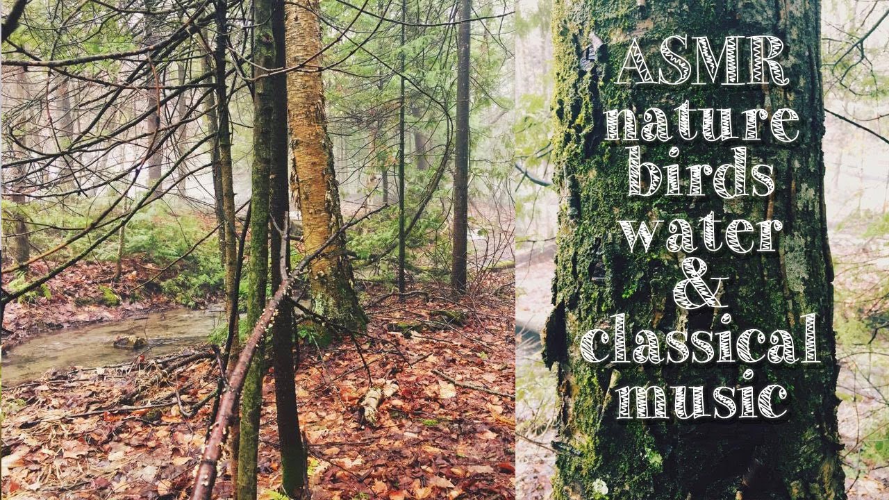 health benefits of nature ep. 3 // enchanted forest in canada | holisticmaya