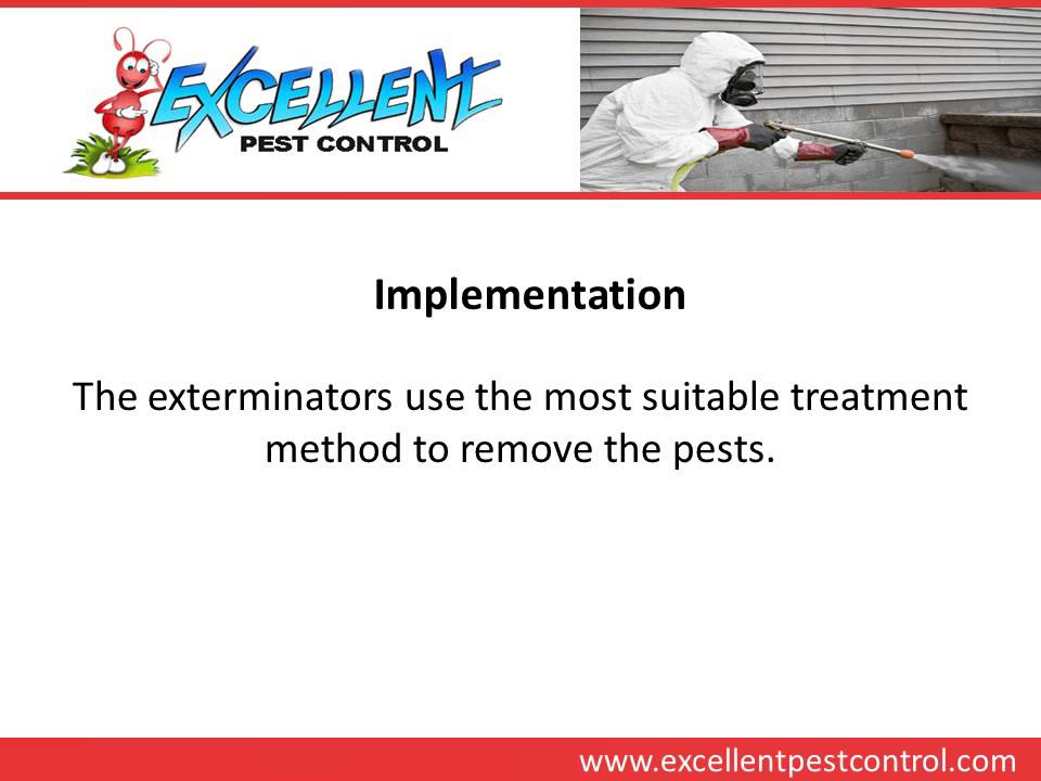 Pest Exterminator Edinburg, TX YouTube