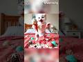 Cute Kitten covered in ice cream 😱🐾 #cat #shorts #kitten #funny #catlovers #catcartoon #viralvideo