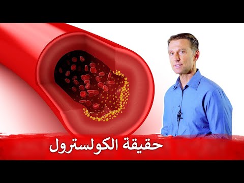 فيديو: هل يعمل الكوليسترول على استقرار غشاء الخلية؟