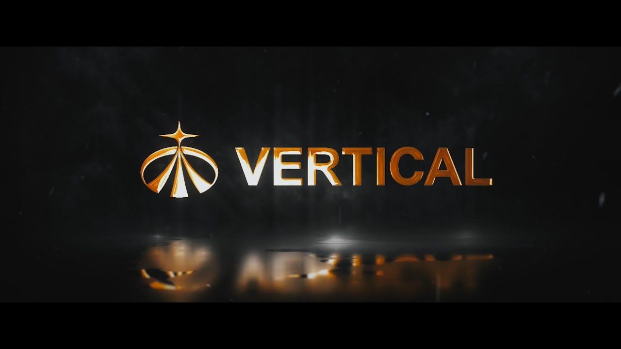 Вертикаль 20 лет развития