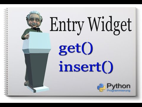 Python Tkinter Entry Widget [get() und insert-Methode] #9
