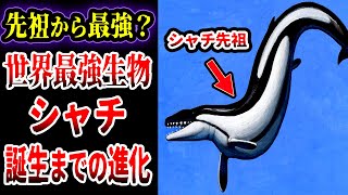 【ゆっくり解説】世界最強の生物シャチの先祖たちがヤバい…シャチが誕生するまでの進化史