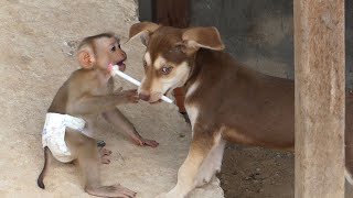 Smart baby Ella request toy from good friend Mago, they are always play with together screenshot 2