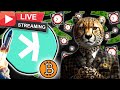 $KAS KASPA🔥 – KASPA IS THE NEXT BITCOIN?! [KASPA &amp; MACRO UPDATE]