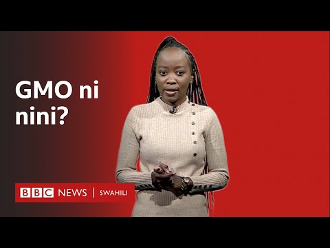 Video: Taarifa Kuhusu Mbegu za Alizeti Nyeusi na Mimea ya Alizeti Nyeusi