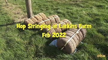 Hop Stringing
