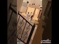 كواليس تقرير رمضان مع حلا على Mbc انتظروناا 