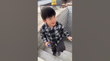 Only 3 Ingrendients！Cat Makes Orange Custard🍊 | Cat Cooking ASMR | Cute Cat TikTok#Shorts