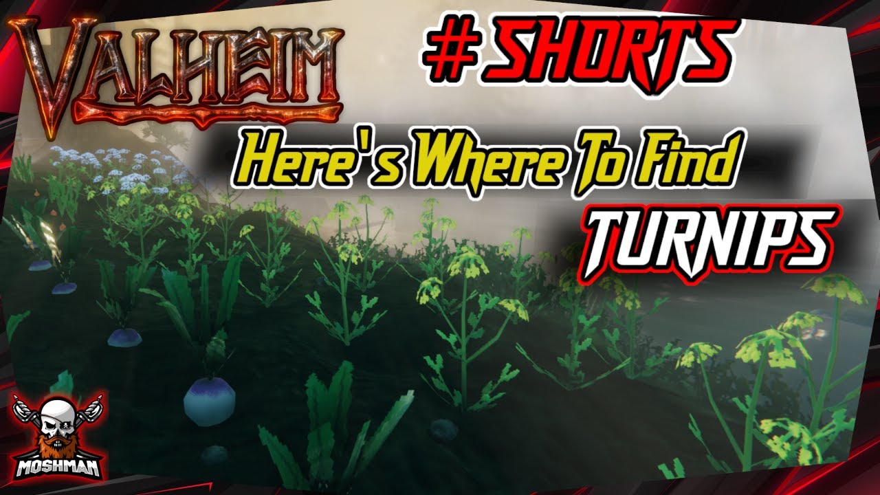 picture Can't Find Turnips Valheim valheim turnips valheim tips shorts