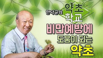 (한글자막) 비만예방에 도움이 되는 약초(양파, 양배추, 산사나무열매, 녹차잎, 마황)  [안덕균의 약초학교 EP.10]