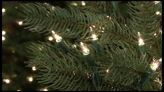 ConstantON® Lights by GEHolidayLighting 7,609 views 11 years ago 52 seconds