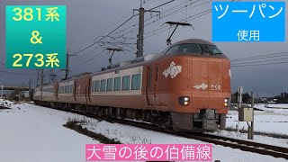 381系&273系【4K】最大寒波後の伯備線にて