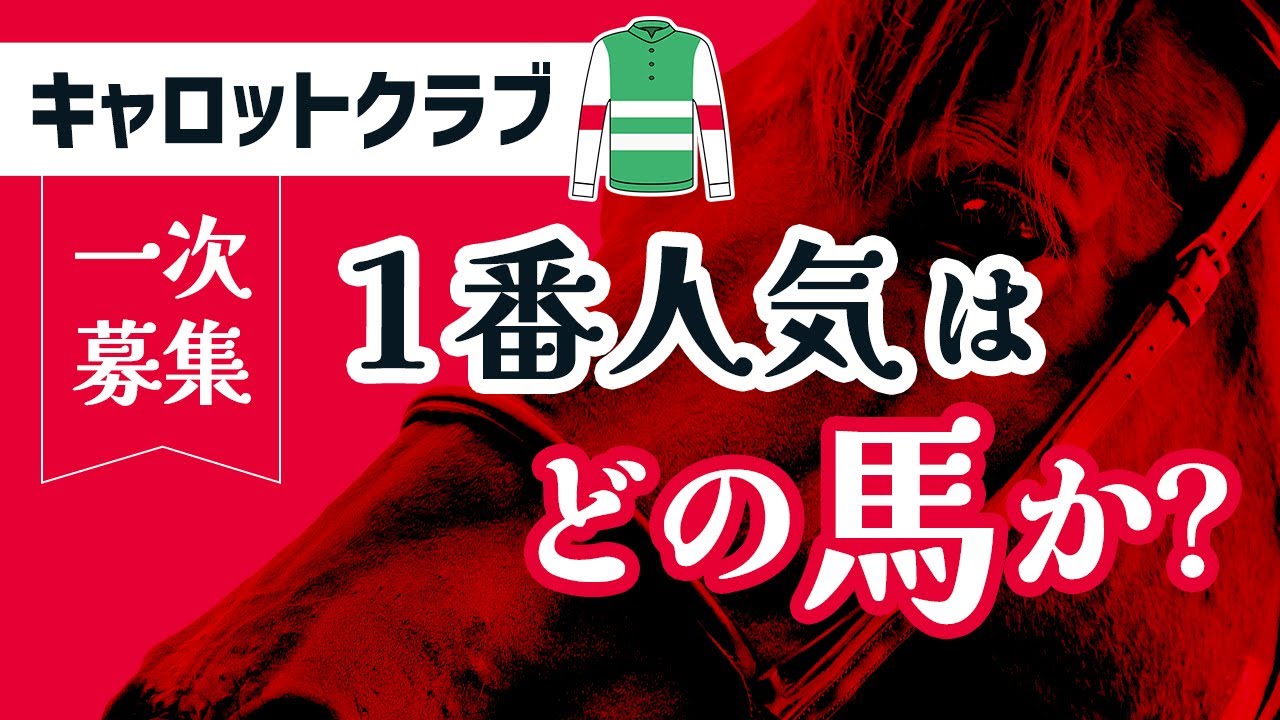 一口馬主データ分析班