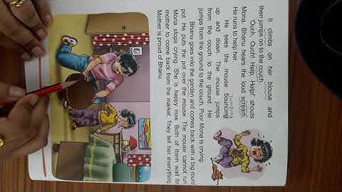 Std 2//My English reader 2//Ch.10 The magic matchbox// DAV PS