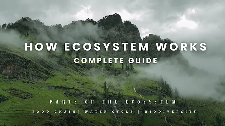 "How Our Ecosystem Works | Understanding Nature's Balance"