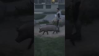 #shorts #reels #gta #gaming #gtaonline #gta5 #elaster #dred #factorygames #memes #funny