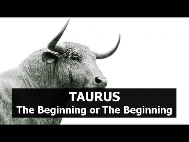 Taurus... The Beginning or The Beginning!