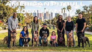 American Pitbull Community Going Strong