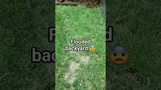 flooded backyard !!! #homerenovation #flood #gardening #drainage #help #outdoors #makeover