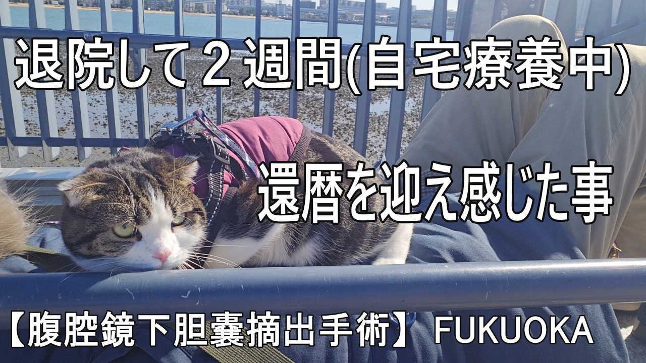 還暦を迎え感じた事～退院して２週間(自宅療養中)【腹腔鏡下胆嚢摘出手術】　FUKUOKA