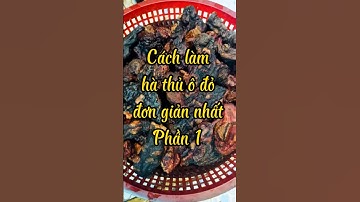 Cách làm hà thủ ô đỏ với đỗ đen (P1) #thuốcđôngy #thucong #chiase #huongdan #nature #youtubeshorts