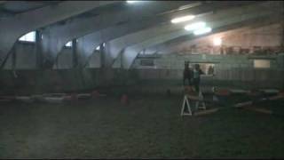 Zholty.wmv
