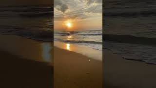 Sevdalara Gitti Ömrüm Resimi