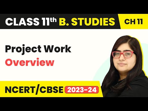 Project Work - Overview | Class 11 Business Studies Chapter 11 |