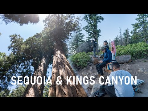 Sequoia and Kings Canyon Camping Adventure
