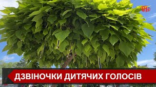 У Бурштинській громаді до акції  «Голоси дітей» залучили вихованців дитячих дошкільних закладів