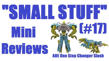 Transformers review #17 "Small Stuff" AOE One Step Changer Slash