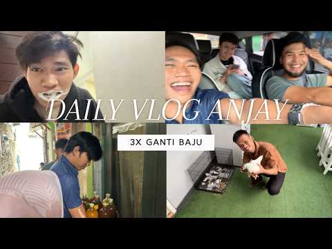 AYAM KANTOR MAU DI MASAK ??! DAILY VLOG ANJAY SEBELUM PUASA
