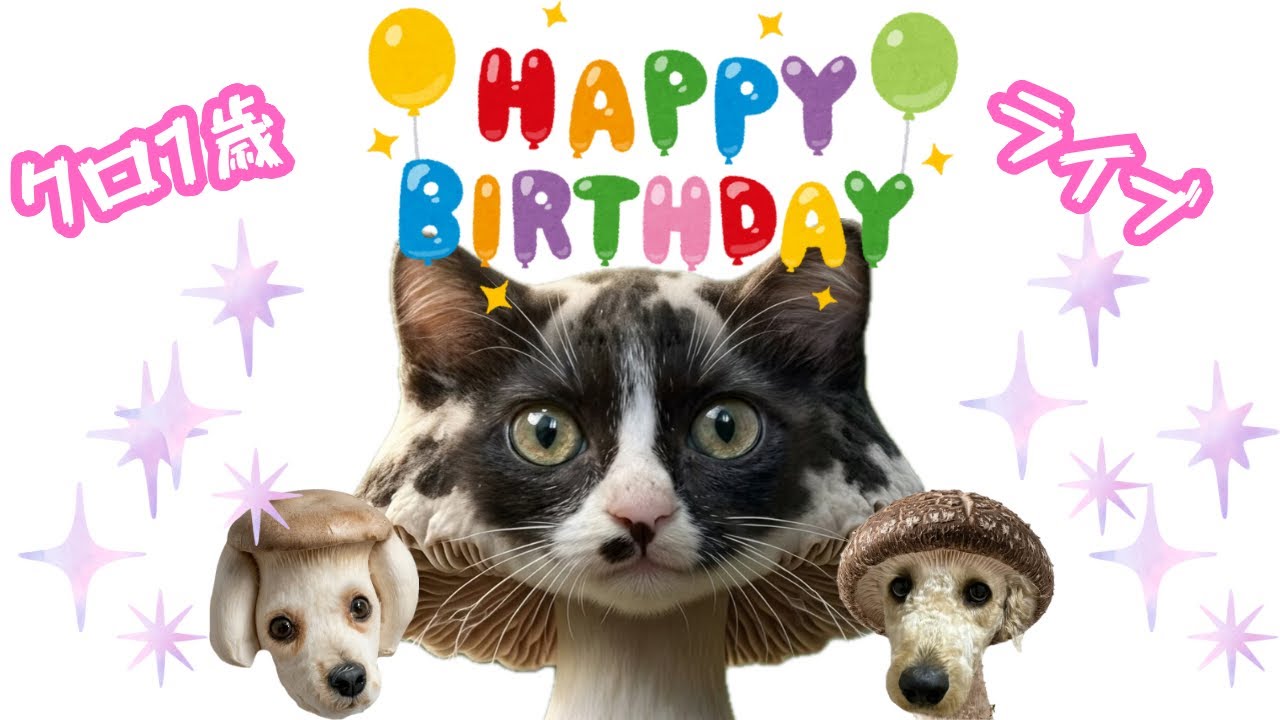 Kuro, 1 year old] Thank you as always! - YouTube