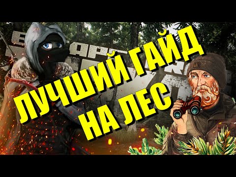 Полный разбор локации ЛЕС в Escape from Tarkov | Гайд EFT для новичков в Таркове