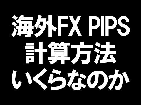 海外FXのPIPSの計算方法・いくらなのかを徹底解説