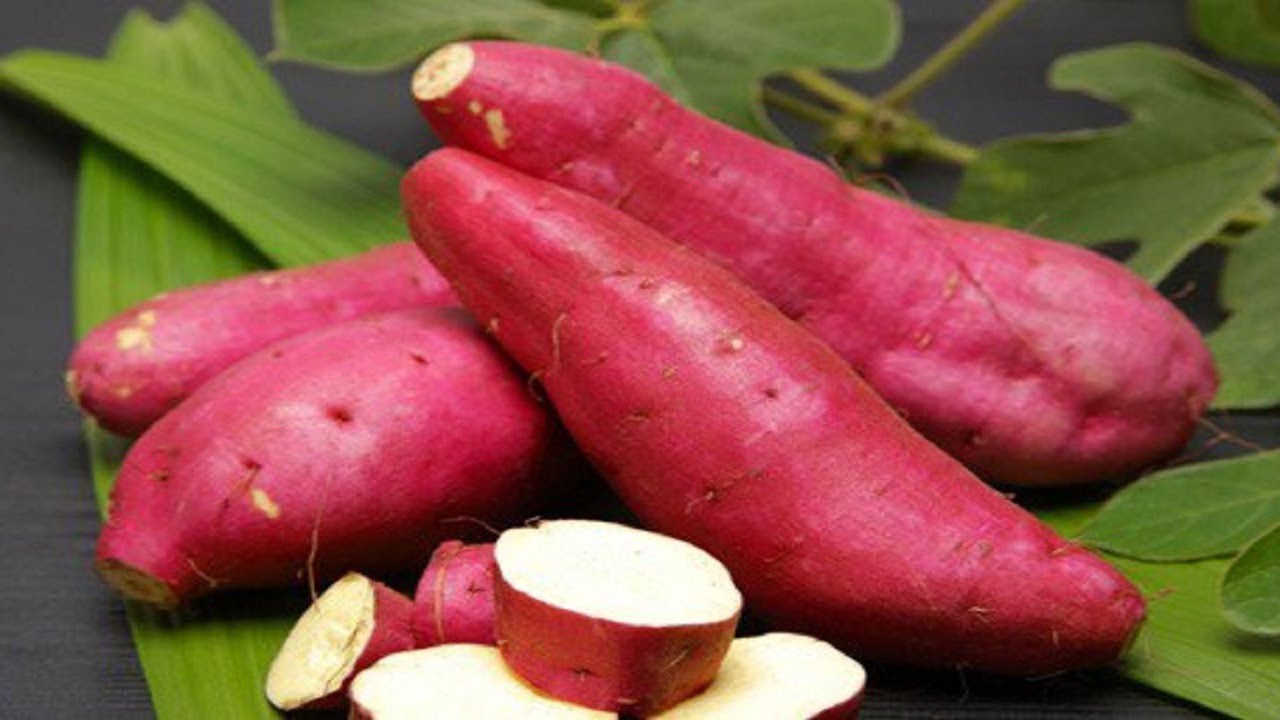 Are Sweet Potatoes Good For Diabetics Sweet Potatoes And Diabetes YouTube are-sweet-potatoes-good-for-diabetics-sweet-potatoes-and-diabetes-youtube