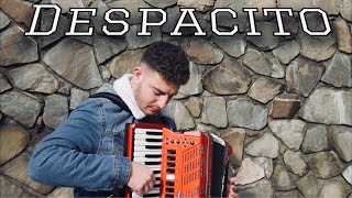 DESPACITO - Luis Fonsi / ft. Daddy Yankee (Fisarmonica)