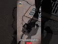 Patching Damaged Asphalt Made Easy! The Secret of This Magical Little Tool. #toolmancrew #workers