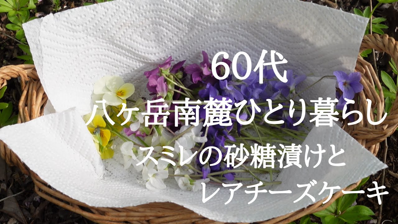手作りもできる スミレの砂糖漬け の魅力について総まとめ スミレの砂糖漬け デメル 手作りもできる スミレの砂糖漬け の魅力について総まとめ スミレの砂糖漬け デメル