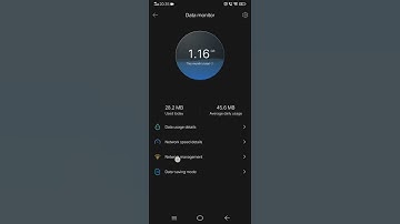 Enable or disable data or wifi permission in vivo s1