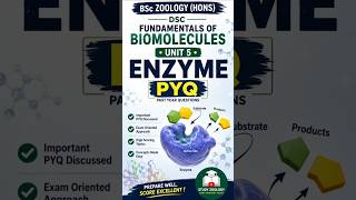 Enzyme PYQ 2026 | DSC Fundamentals of Biomolecules | BSc Zoology Hons| semester 2 | Du