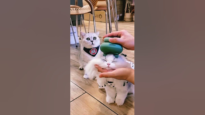 Mini Cat head massager new technology 😍 #shorts #gadgets