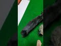 猫草好き勝手したから掃除機の刑