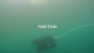 ResiVis: A Holistic Underwater Motion Planning Approach for Active Perception Under Uncertainties