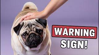 90’S Old Hindi Songs💘 90s Love Song💘 Udit Narayan, Alka Yagnik, Kumar Sanu songs Hindi Jukebox songs