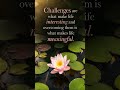 Day 22 Quote 🌸 Challenges Make Life Meaningful. #shorts #dailyquote