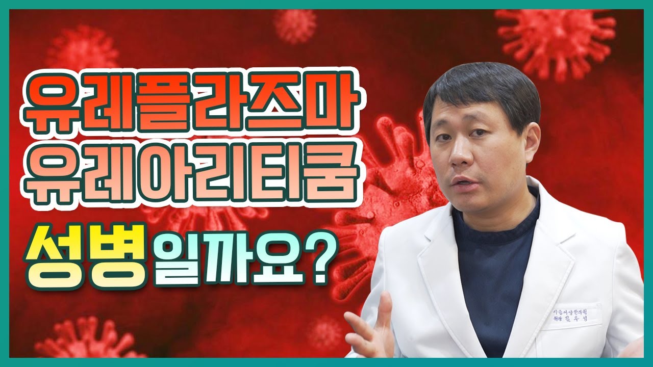 유레아플라즈마 유레아리티쿰은 성병일까요? (원인과 증상 그리고 치료는?) - YouTube