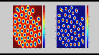 Reaction diffusion - Cell divisions